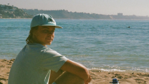 Image of Beach Fly